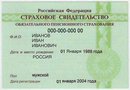 Как узнать свой номер СНИЛС