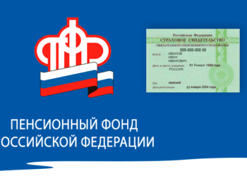 Как узнать свой номер СНИЛС в Пенсионном фонде