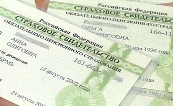 Как восстановить СНИЛС, если потеряли – подробная инструкция