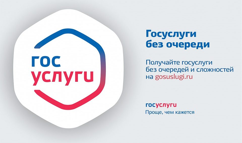 Оплата госпошлины через Госуслуги - преимущества сервиса